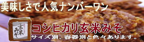 �����ҥ��긼�Ƥߤ�