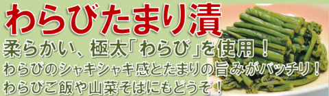 ���Ӥ��ޤ��ҡ��Хʡ�
